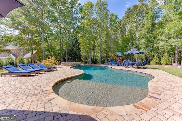 view of swimming pool featuring a patio