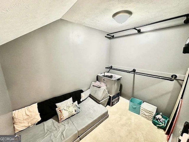1150 Sutton Rd, Demorest, GA 30535 - carpeted bedroom with a textured ceiling and lofted ceiling