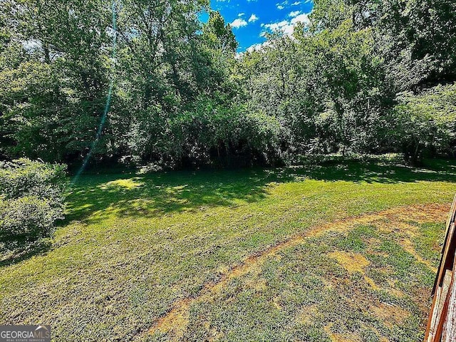 1150 Sutton Rd, Demorest, GA 30535 - view of green lawn