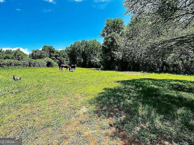 view of yard with a rural view