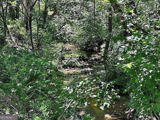 1150 Sutton Rd, Demorest, GA 30535 - view of nature
