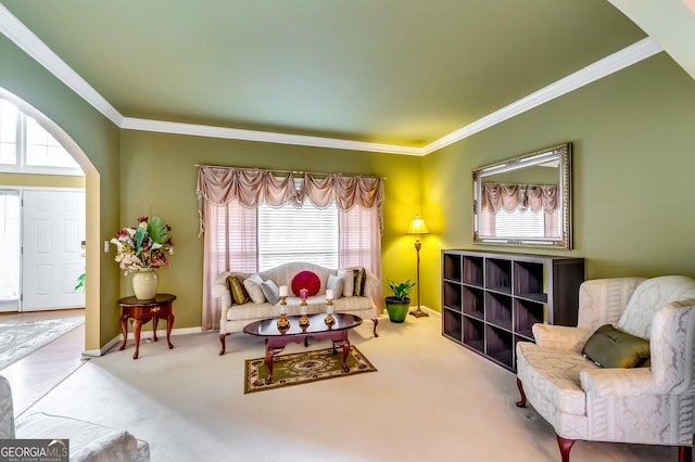 living area with crown molding and carpet