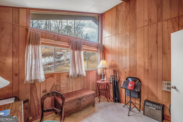 living area featuring light colored carpet and wood walls