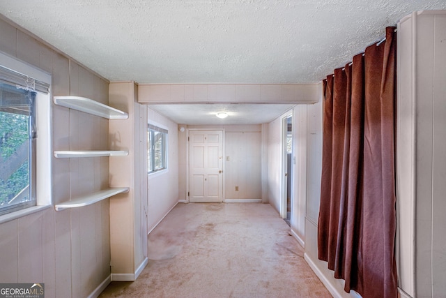 interior space featuring a healthy amount of sunlight, wooden walls, light carpet, and a textured ceiling