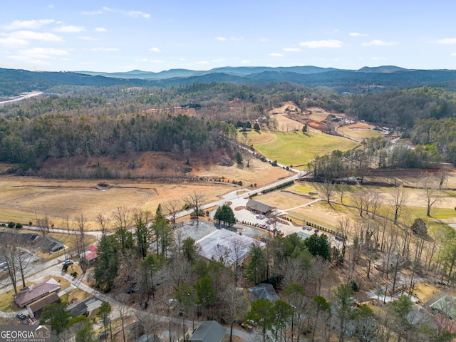 birds eye view of property featuring a mountain view