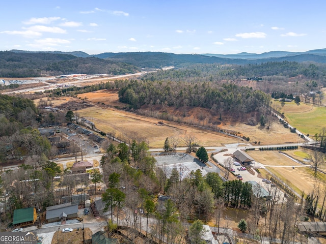 birds eye view of property with a mountain view