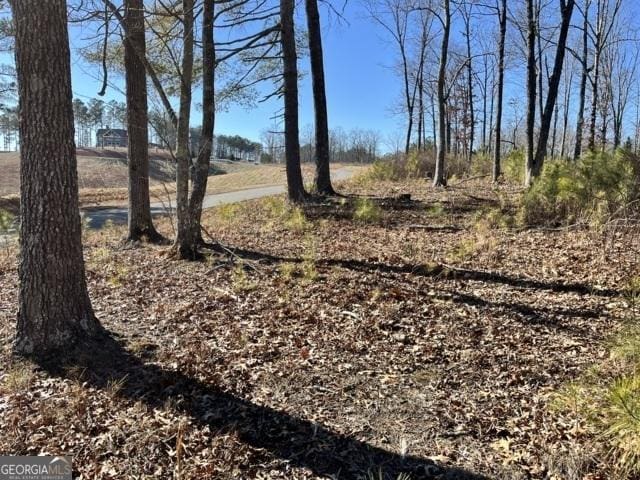 LOT5 High River Rd, Ellijay GA, 30540 land for sale