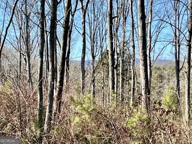 Listing photo 2 for LOT5 High River Rd, Ellijay GA 30540