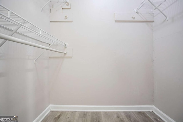 spacious closet featuring hardwood / wood-style flooring