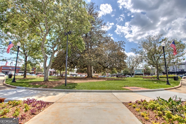 view of community with a yard