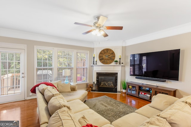 living room featuring hardwood / wood-style floors, ornamental molding, and ceiling fan