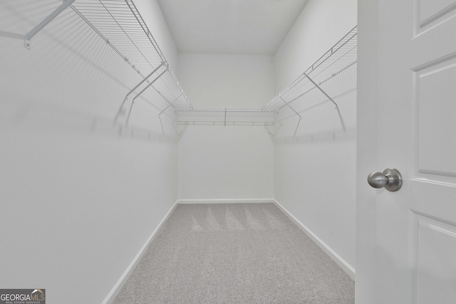 walk in closet with carpet floors