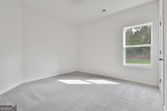 empty room with carpet and a wealth of natural light