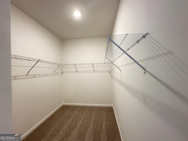 spacious closet with dark colored carpet