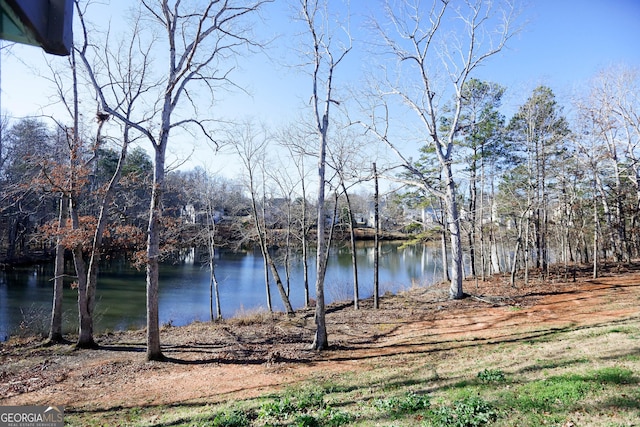 view of water feature