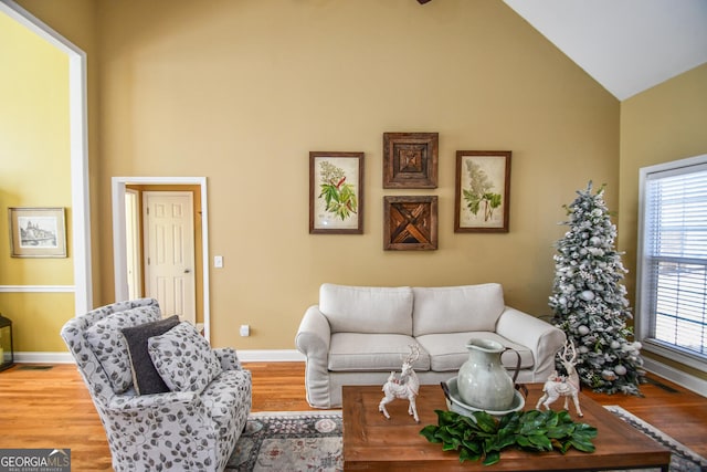 living room with hardwood / wood-style flooring, plenty of natural light, and high vaulted ceiling