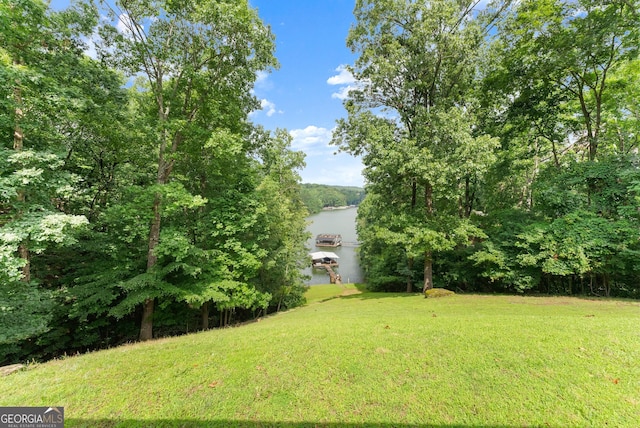 3366 Small Woods Ln, Gainesville, GA 30506 - view of green lawn featuring a water view