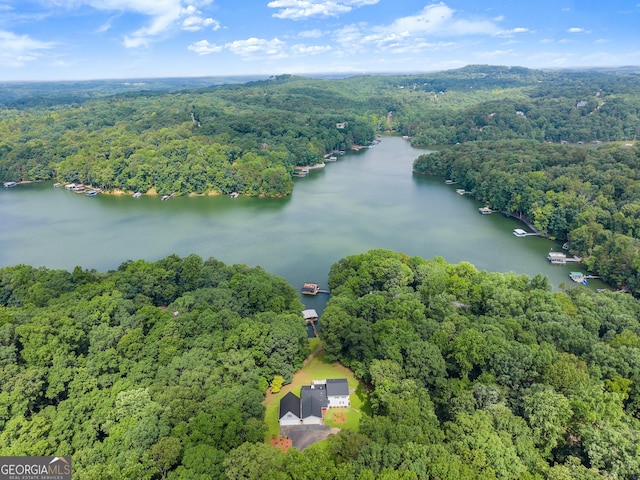 3366 Small Woods Ln, Gainesville, GA 30506 - bird's eye view of a heavily wooded area and a nearby body of water