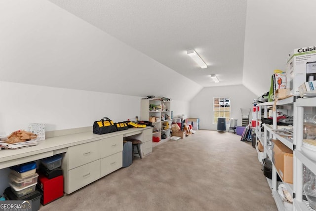3366 Small Woods Ln, Gainesville, GA 30506 - rec room featuring light colored carpet and lofted ceiling
