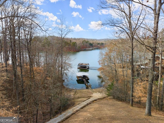 3366 Small Woods Ln, Gainesville, GA 30506 - water view featuring a forest view and a floating dock