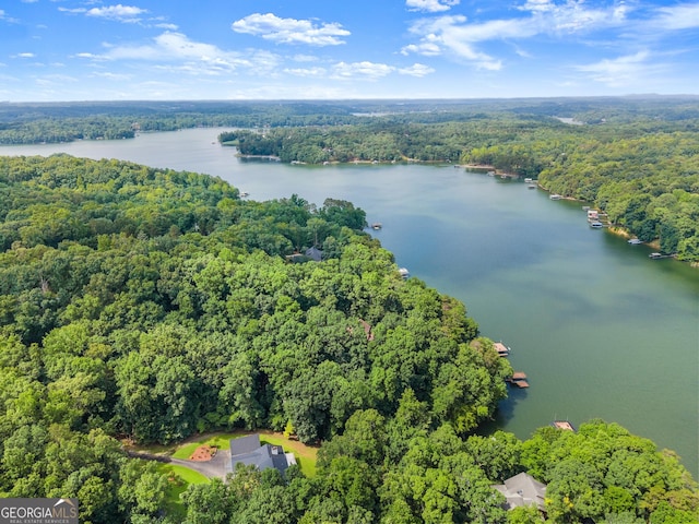 3366 Small Woods Ln, Gainesville, GA 30506 - drone / aerial view of a nearby body of water