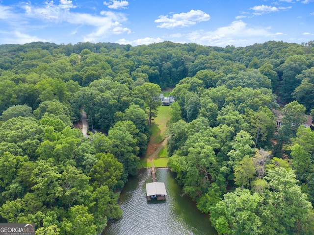 3366 Small Woods Ln, Gainesville, GA 30506 - drone / aerial view of a nearby body of water and a heavily wooded area