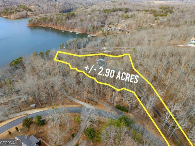 3366 Small Woods Ln, Gainesville, GA 30506 - birds eye view of property with a water view and a wooded view