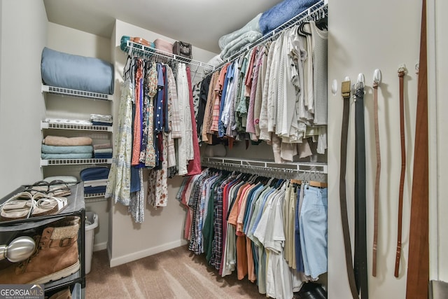 walk in closet featuring carpet