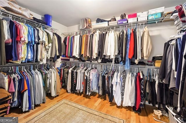 walk in closet featuring hardwood / wood-style floors