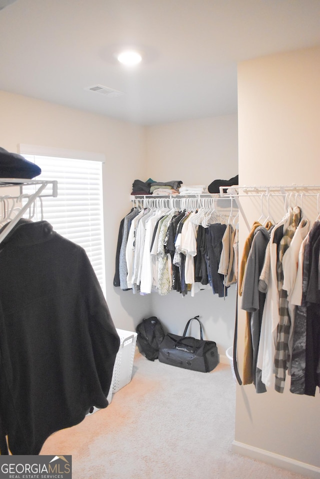 spacious closet with carpet flooring