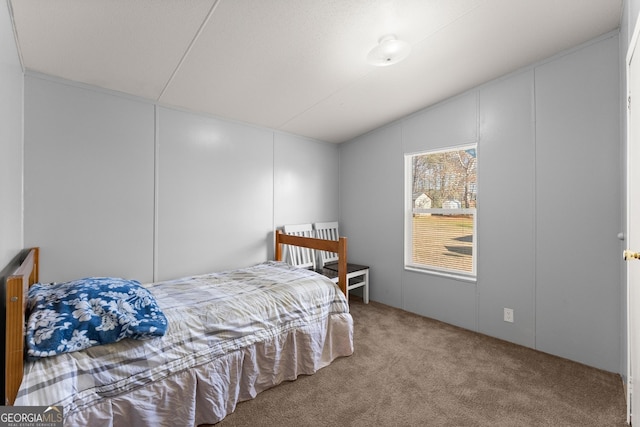 bedroom featuring lofted ceiling, radiator, and carpet