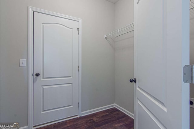 spacious closet featuring dark hardwood / wood-style floors