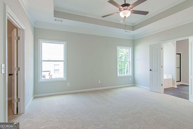 spare room featuring light carpet, ornamental molding, and a raised ceiling