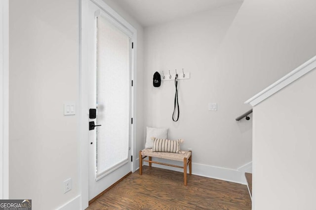 foyer entrance featuring dark hardwood / wood-style flooring