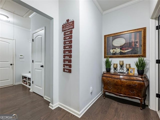 corridor with dark hardwood / wood-style flooring and crown molding