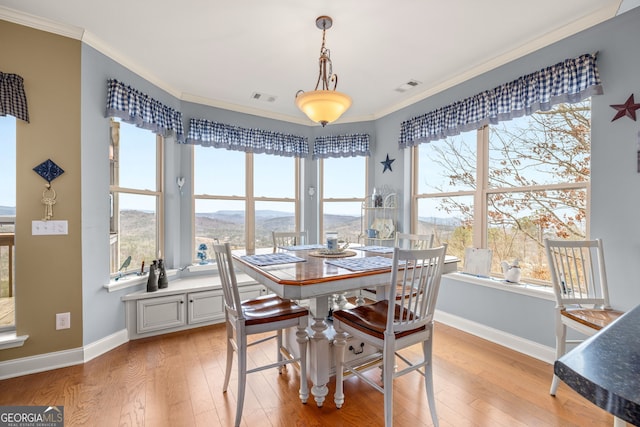 dining space featuring a mountain view, crown molding, a healthy amount of sunlight, and light wood-type flooring