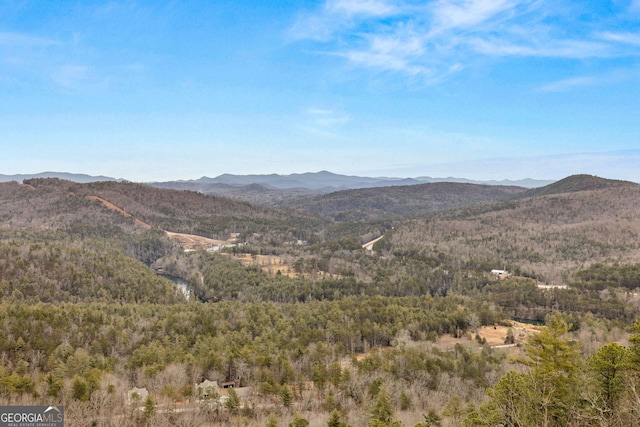 property view of mountains