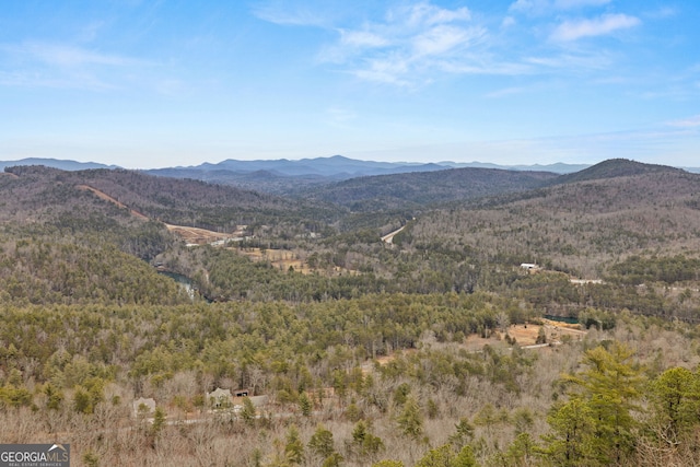 view of mountain feature