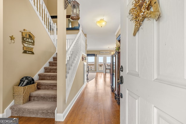 foyer featuring wood-type flooring