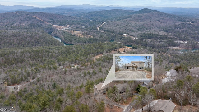 aerial view with a mountain view