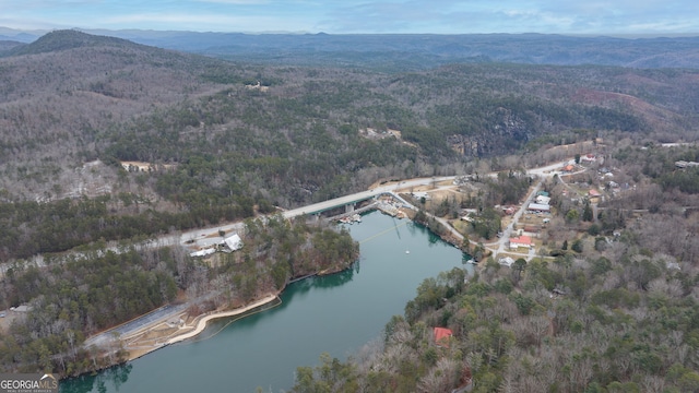 birds eye view of property with a water and mountain view