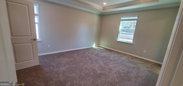 spare room with ornamental molding, a raised ceiling, and dark colored carpet