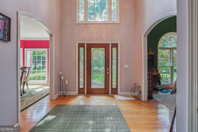 foyer with a high ceiling and light wood-type flooring