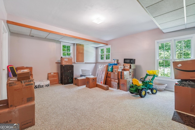 interior space featuring a healthy amount of sunlight, carpet floors, and a drop ceiling