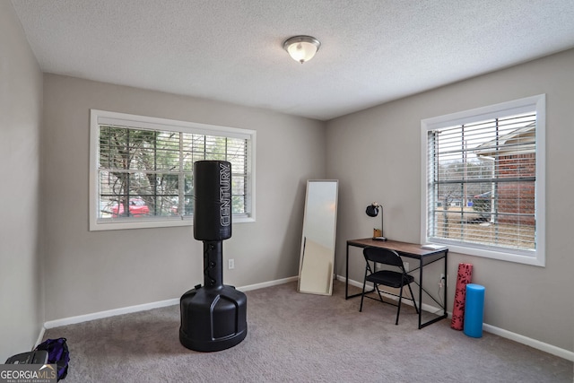 exercise area with a textured ceiling, baseboards, and carpet