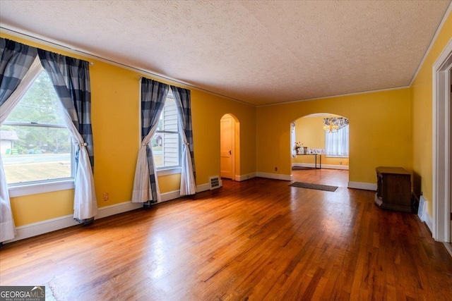 spare room featuring hardwood / wood-style floors, a textured ceiling, and a wealth of natural light