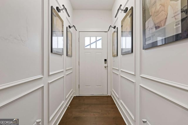 entryway featuring dark wood-type flooring