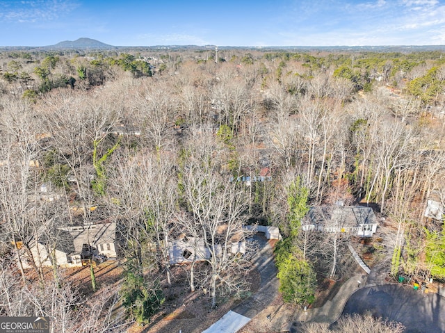 bird's eye view featuring a mountain view