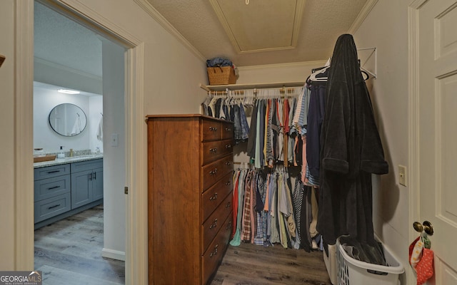 walk in closet featuring sink and light hardwood / wood-style flooring