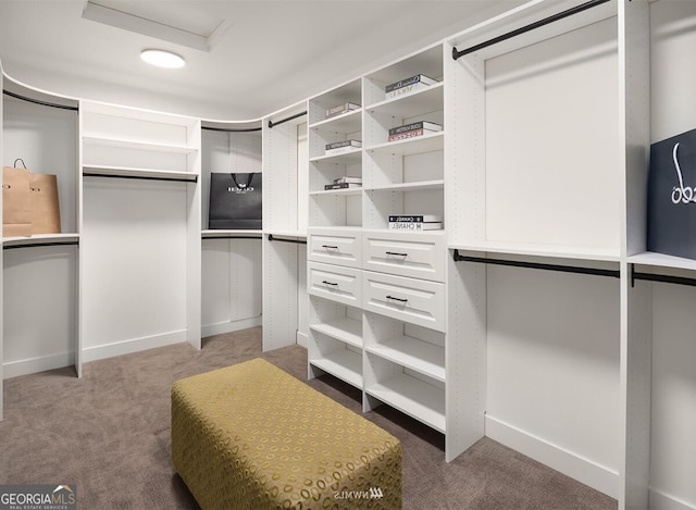 spacious closet featuring carpet floors